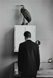 Image description is not available for 2014.035